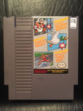 Super Mario Bros Duck Hunt World Class Track Meet