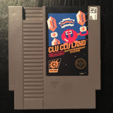 Clu Clu Land