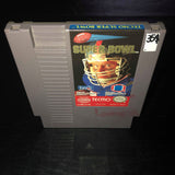 Tecmo Super Bowl