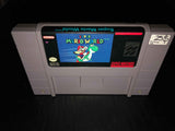 Super Mario World